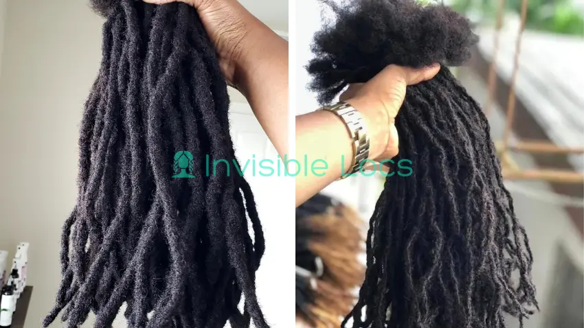 14 Inch Micro Locs