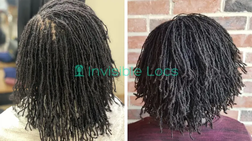 Human Hair Micro Locs