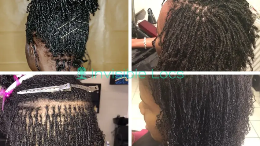 Micro Locs Hair Short Hair Thin Hair Natural Hair 4C Hair Fine Hair Relaxed Hair Permed Hair Straight Hair Thick Hair Low Density Hair