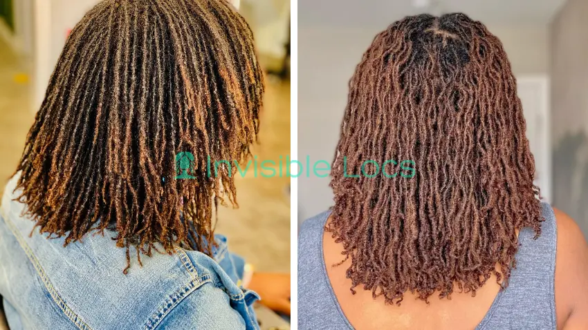 Micro Traditional Locs