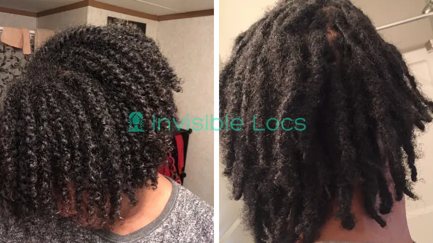 Microlocs Two Strand Twist