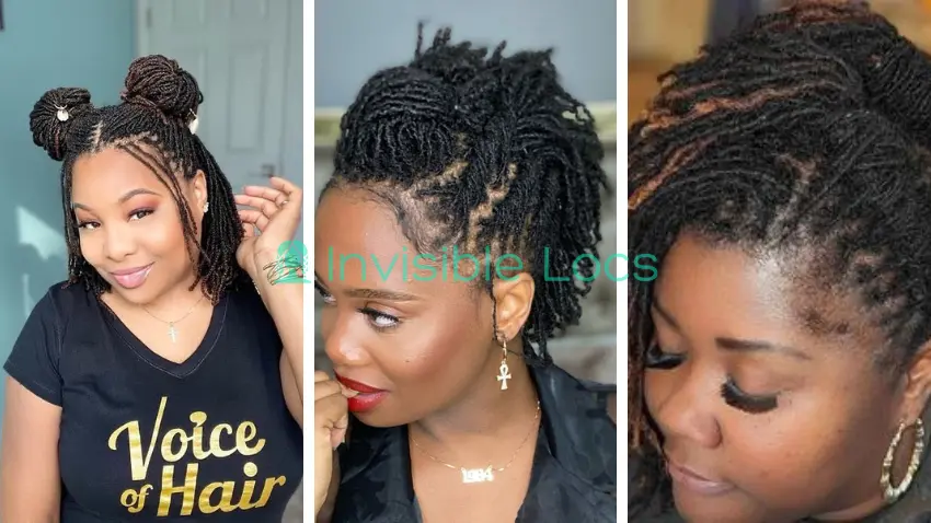 Microlocs Updo Styles