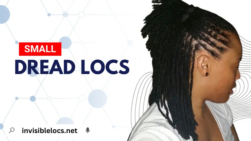 Small Dread Locs