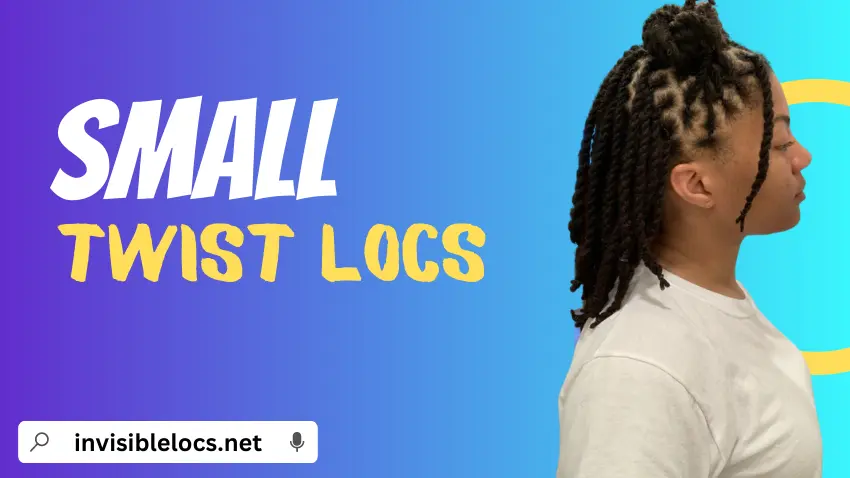 Small Twist Locs