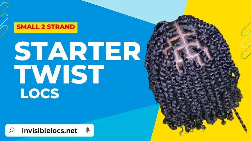 Small Two Strand Twist Starter Locs