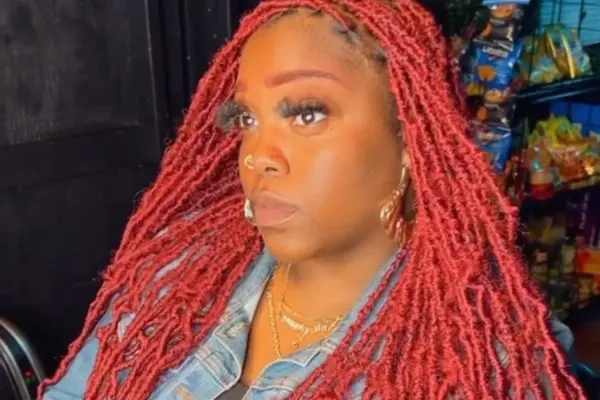 Colored Faux Locs Styling Ideas