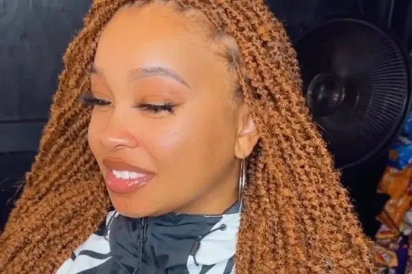 Faux Locs Color Styling Options