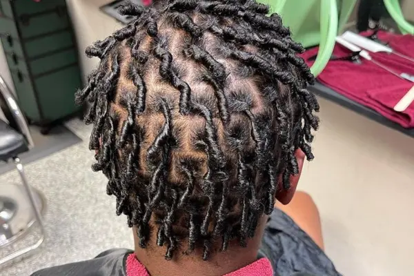 What are Short Starter Locs