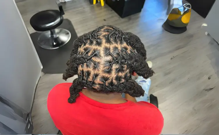Locs with Braided Roots