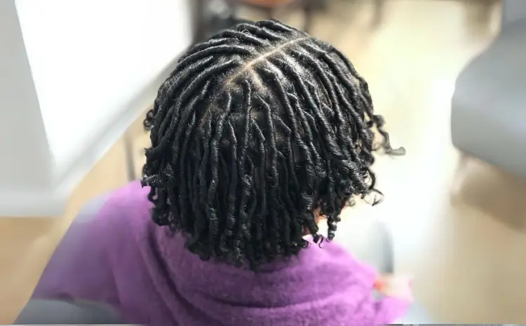 Locs with Middle Part