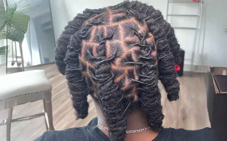 Locs with Side Fishtail Braid