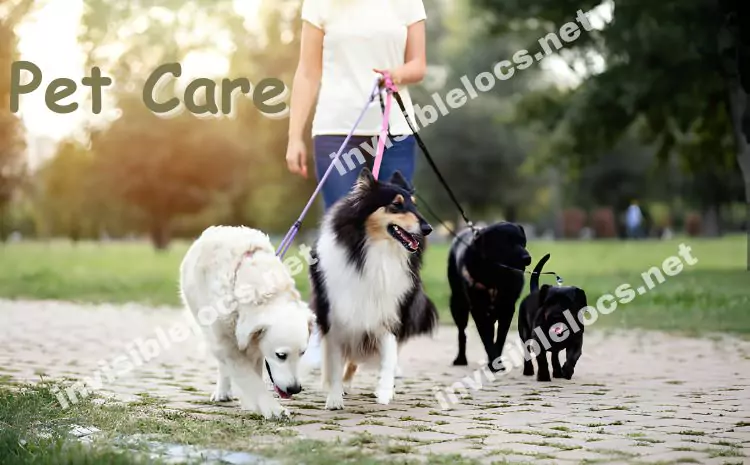 Trends in Natural and Safe Options in Pet Care