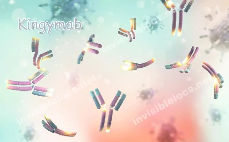Overview of Kingymab