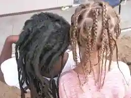 Difference between braids and dreads